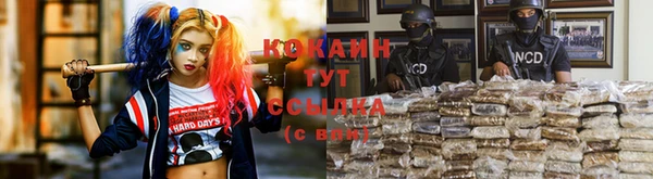 молекула духа Слюдянка