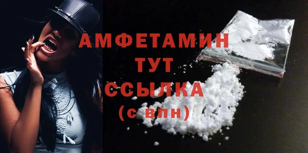 молекула духа Слюдянка