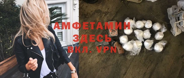молекула духа Слюдянка