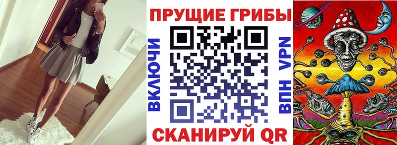 Псилоцибиновые грибы Psilocybine cubensis  Осинники 